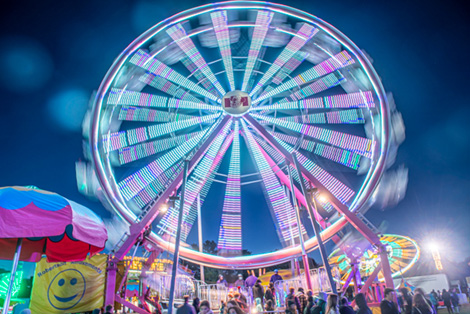 175th Erin Fall Fair